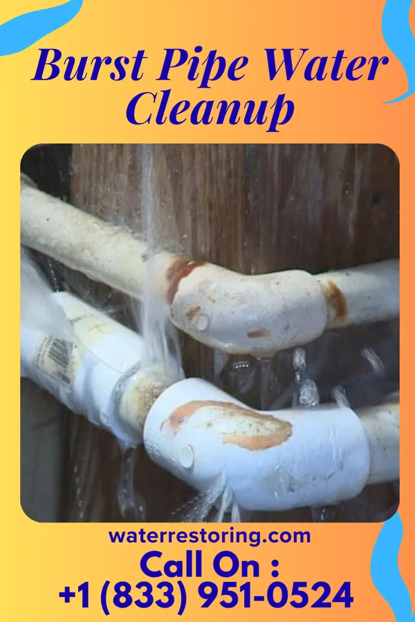 Burst Pipe Water Cleanup in Renner Corner, SD