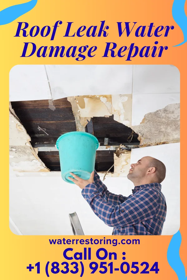 Roof Leak Water Damage Repair in Renner Corner, SD